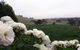 A Way To Relax At Welcome Springs Country Stays - thumb 8